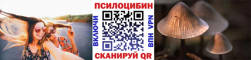 Псилоцибиновые грибы ЛСД  Купить где  Боровск 